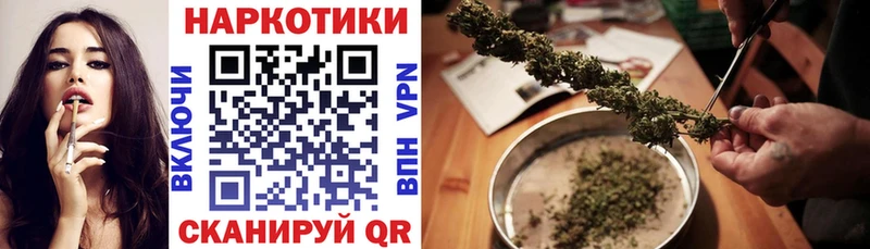 Какие есть наркотики Городовиковск СОЛЬ  Канабис  Псилоцибиновые грибы  Гашиш  Меф мяу мяу  АМФЕТАМИН 