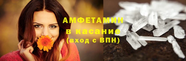 эйфоретик Богданович