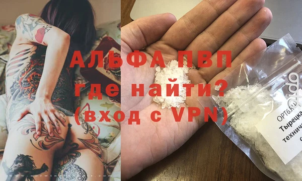 эйфоретик Богданович
