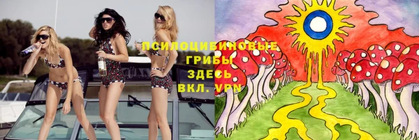скорость Богородицк